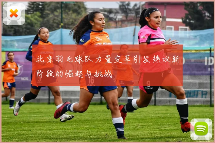 北京羽毛球队力量变革引发热议新阶段的崛起与挑战