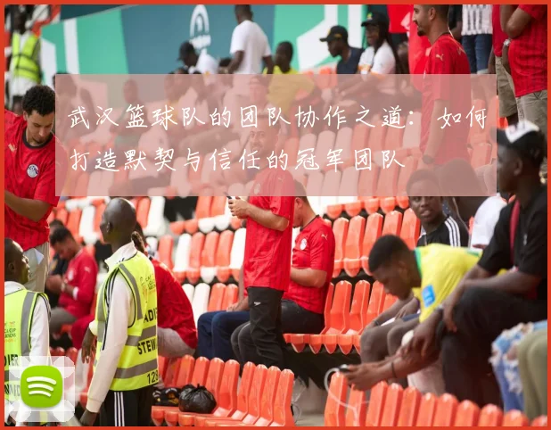 武汉篮球队的团队协作之道：如何打造默契与信任的冠军团队