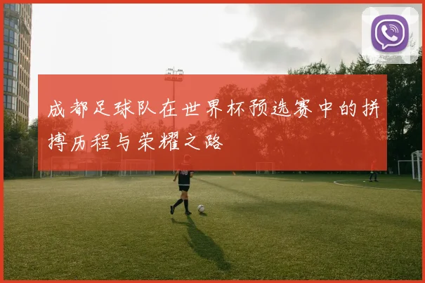 成都足球队在世界杯预选赛中的拼搏历程与荣耀之路