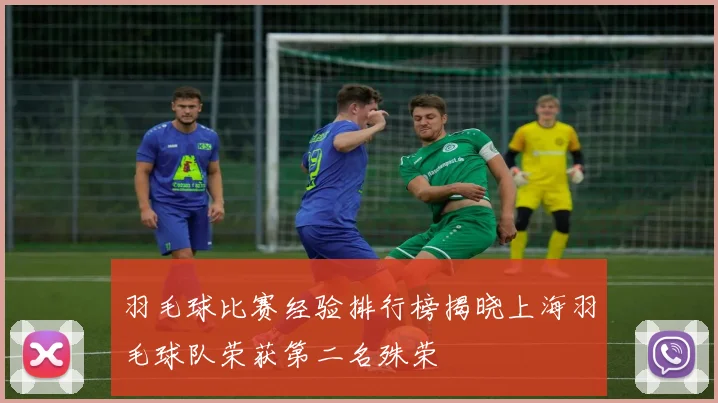 羽毛球比赛经验排行榜揭晓上海羽毛球队荣获第二名殊荣